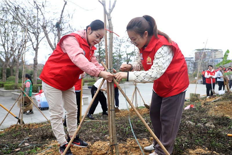 廣咨集團開展植樹節(jié)活動