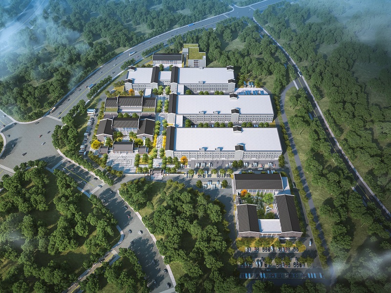 以“廣咨方案”繪就廣西縣域經濟活力迸發生動圖景